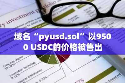 域名pyusd.sol以9500 USDC價(jià)格售出，凸顯數(shù)據(jù)處理與存儲(chǔ)服務(wù)領(lǐng)域增長潛力